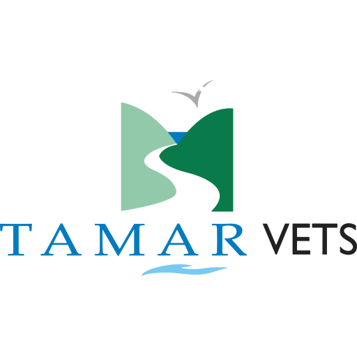 Tamar Vets