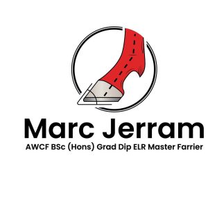 logo for Info 1 300x300